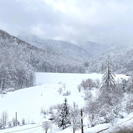 Nature View Apartment ブラショフ エクステリア 写真