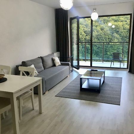 Nature View Apartment ブラショフ エクステリア 写真