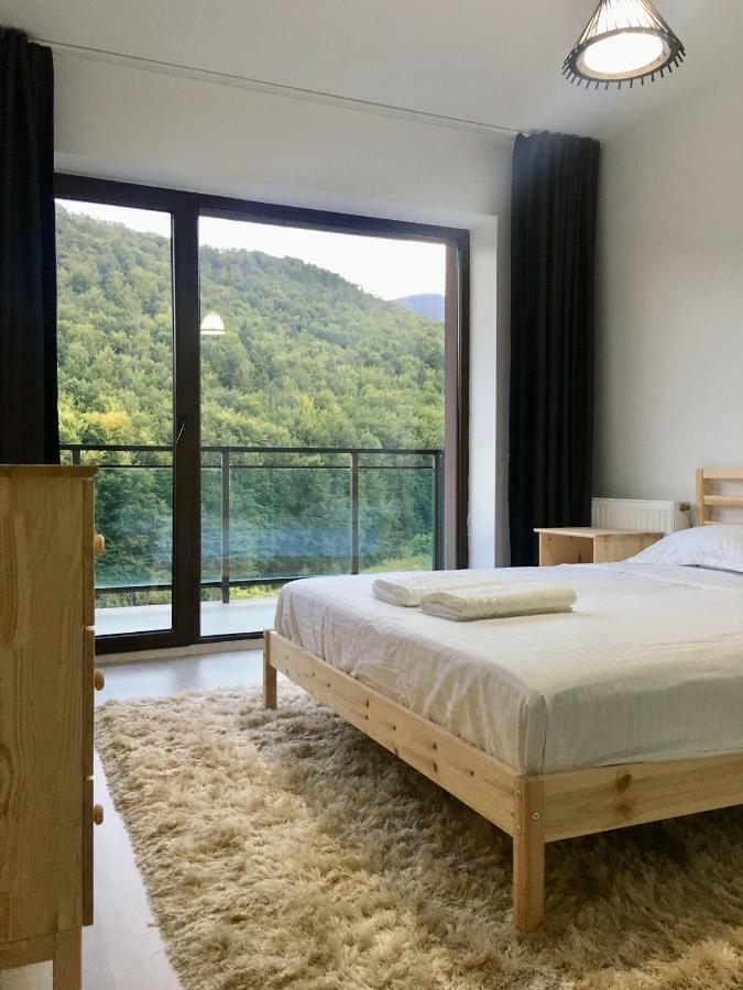 Nature View Apartment ブラショフ エクステリア 写真
