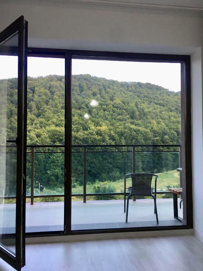 Nature View Apartment ブラショフ エクステリア 写真