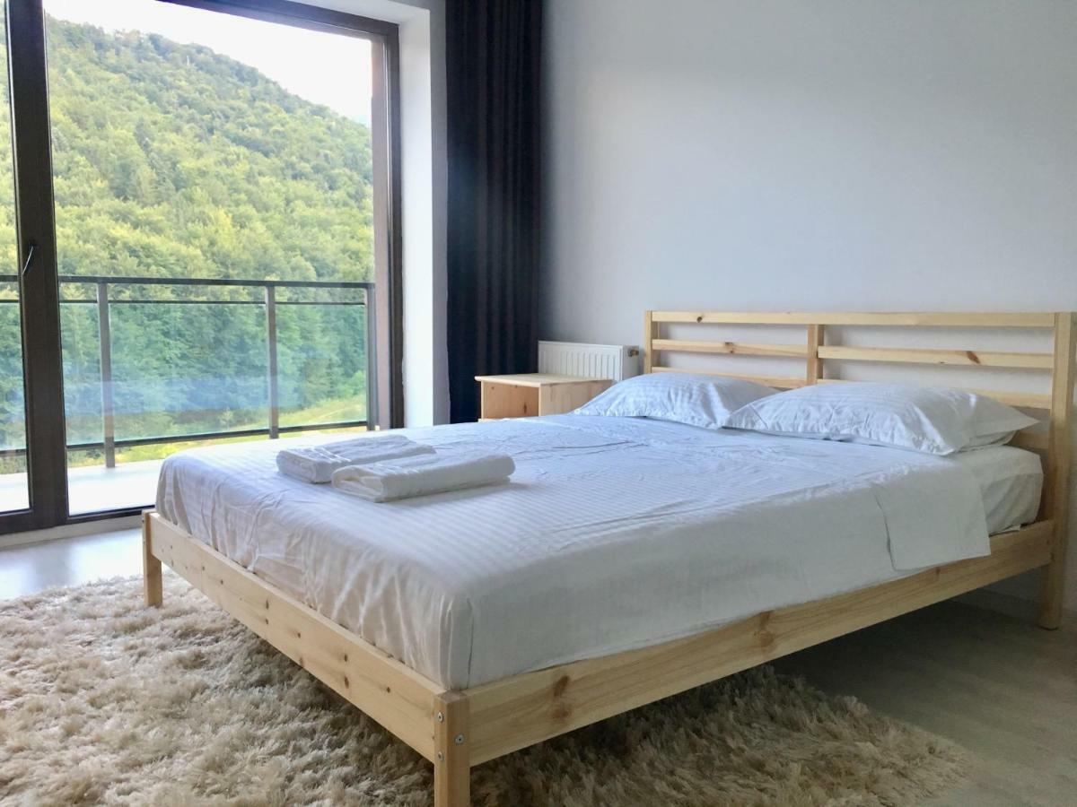 Nature View Apartment ブラショフ エクステリア 写真