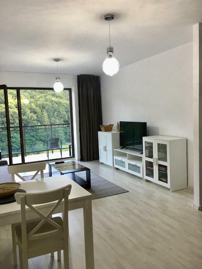 Nature View Apartment ブラショフ エクステリア 写真