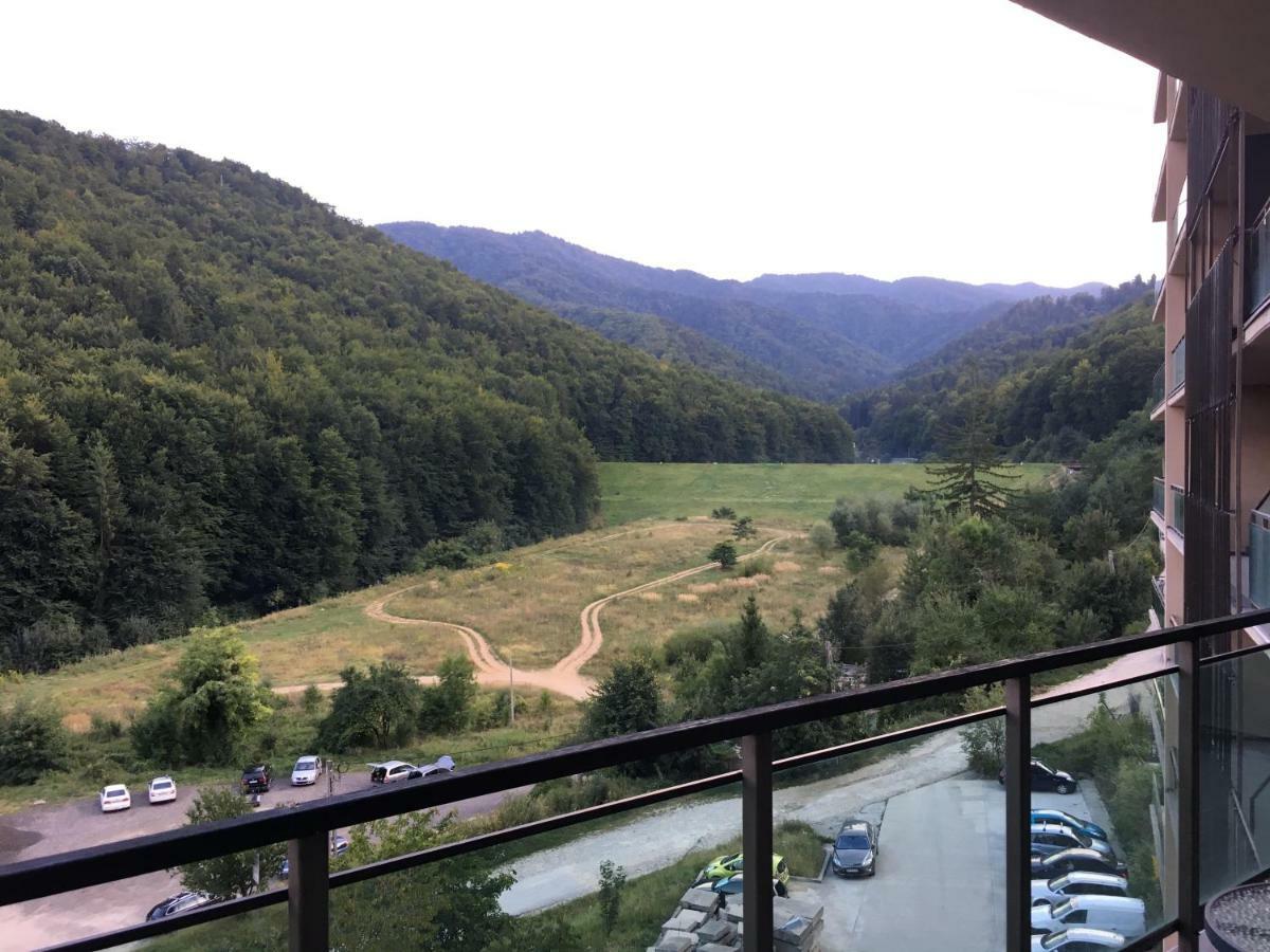 Nature View Apartment ブラショフ エクステリア 写真